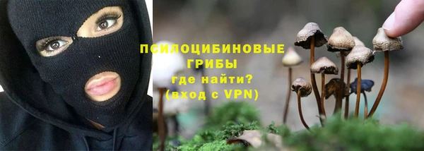 герыч Тайга