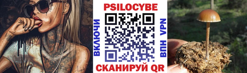 Купить закладки  Надым  Галлюциногенные грибы Cubensis 